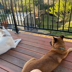 Meet your Posher, Ellen